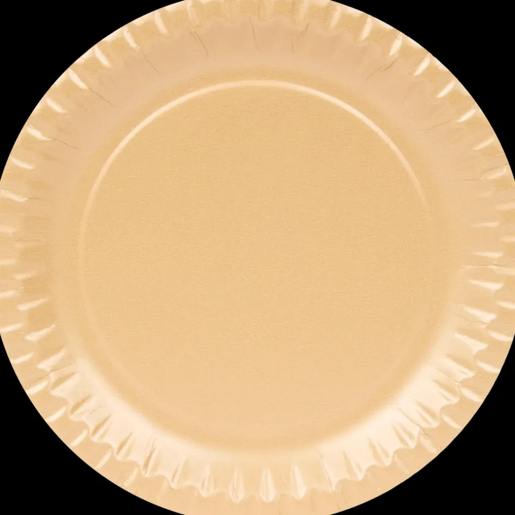 Assiettes en carton | Action FR