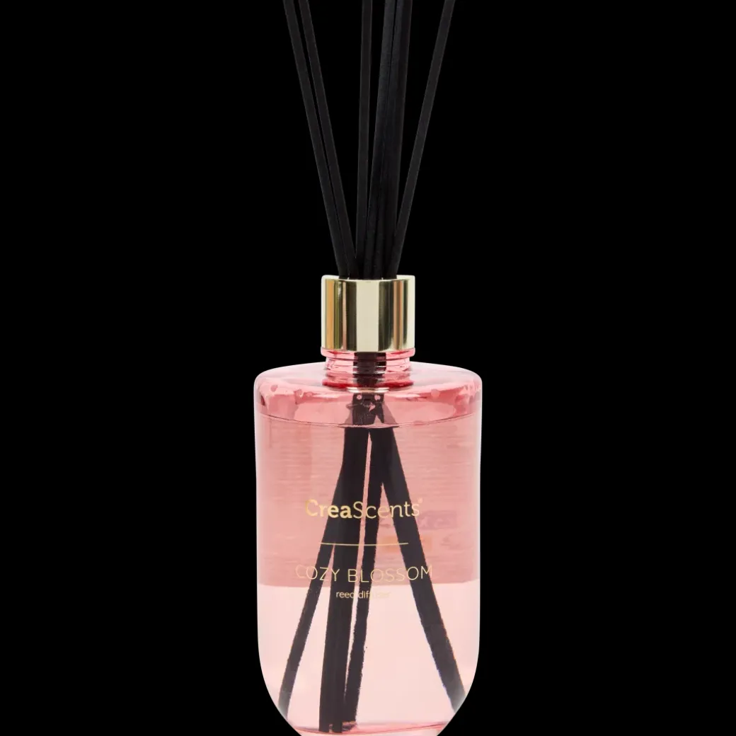 Bâtonnets parfumés CreaScents | Action FR