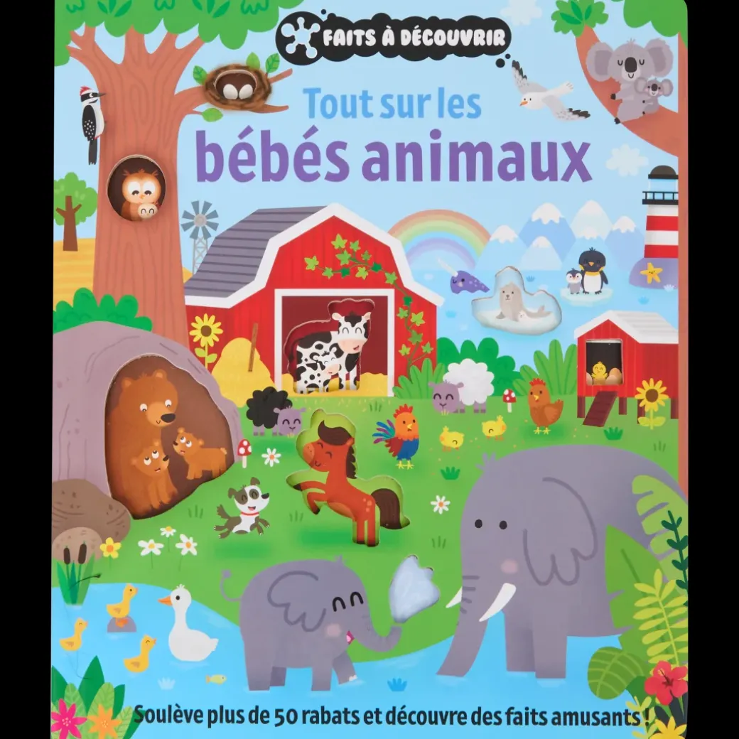 Livre à rabats | Action FR