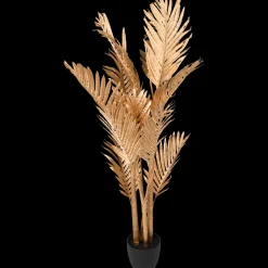 Palmier dans pot XL | Action FR