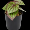 Plante artificielle en pot | Action FR
