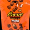 Reese's Peanut Butter Cups Mini's | Action FR